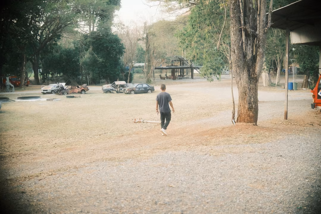 Man walking away across a dusty open yard toward wrecked cars and trees, a large tree trunk at right