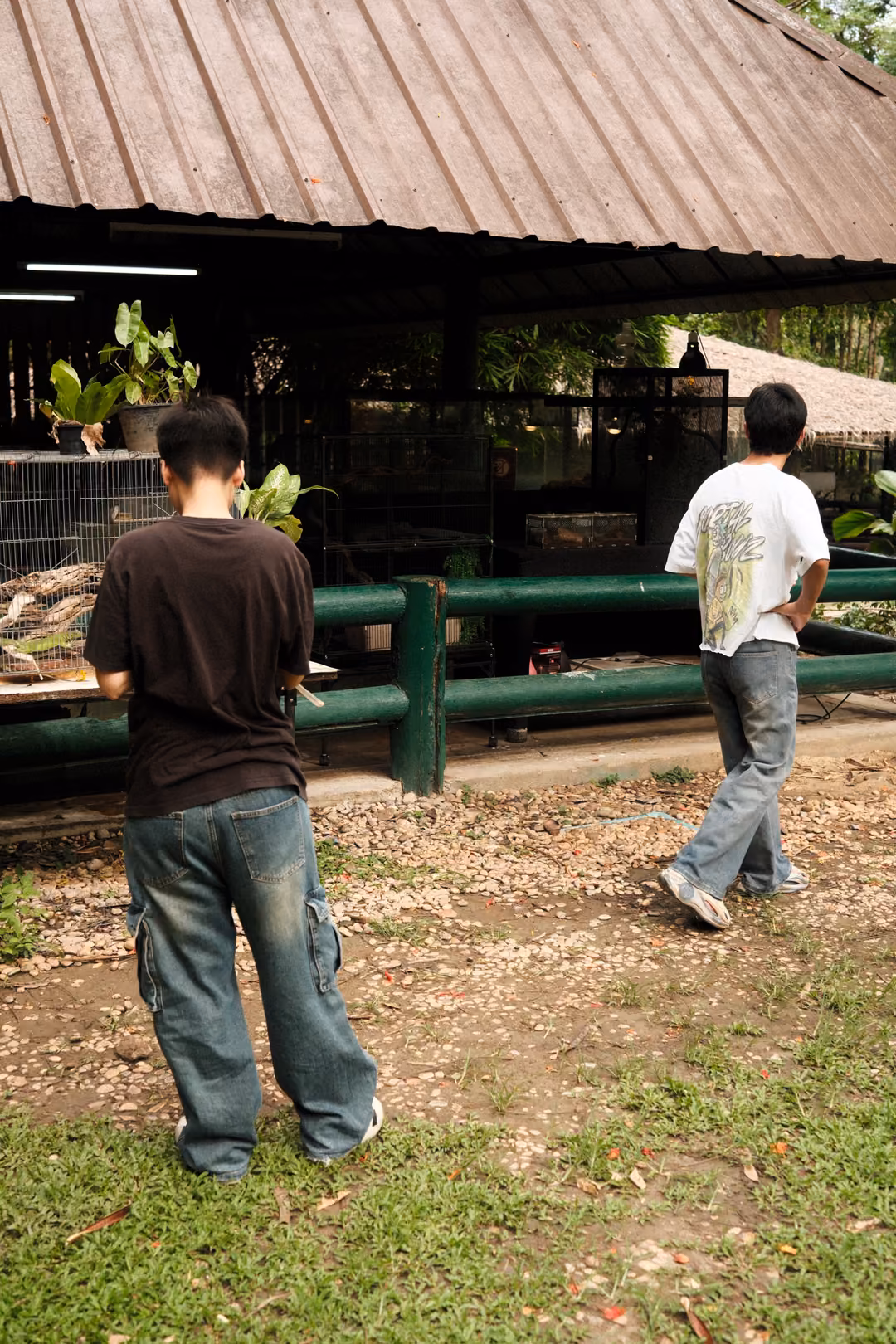 Two people walking across leaf-strewn grass toward a reptile house with green railings and a metal roof