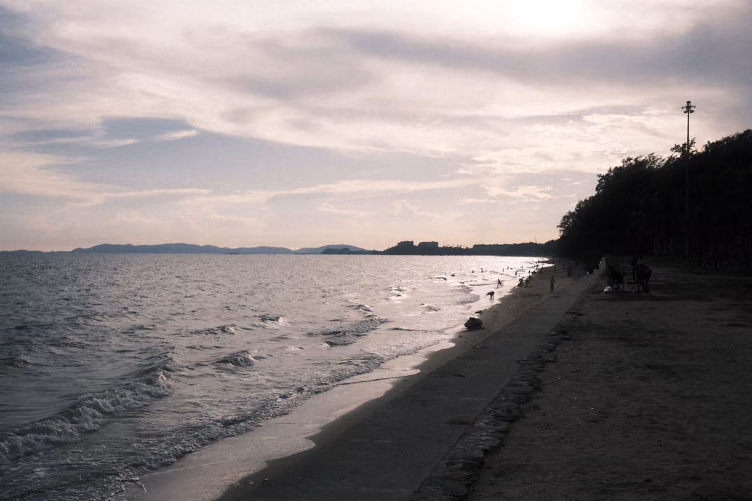 Shoreline with a seawall and dark trees under an overcast pale sky, the sea grey-blue and calm