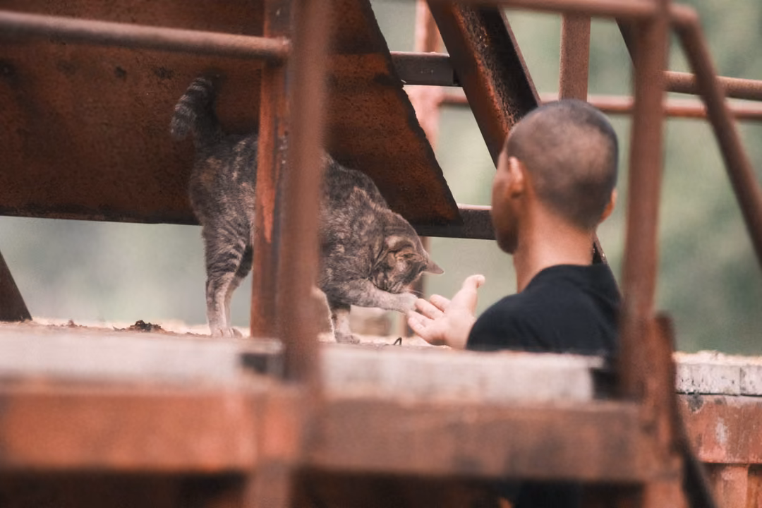 A man with a shaved head reaches toward a tabby cat on a rusty platform under a metal staircase