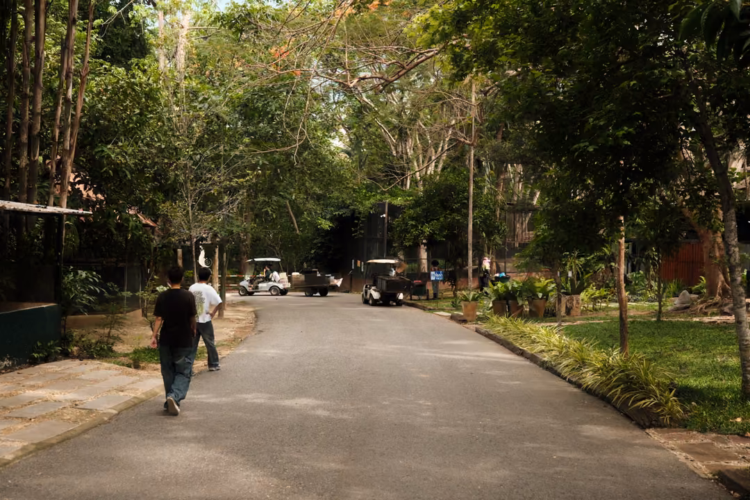 Shaded paved road under tall trees with two people walking and golf carts parked in the distance