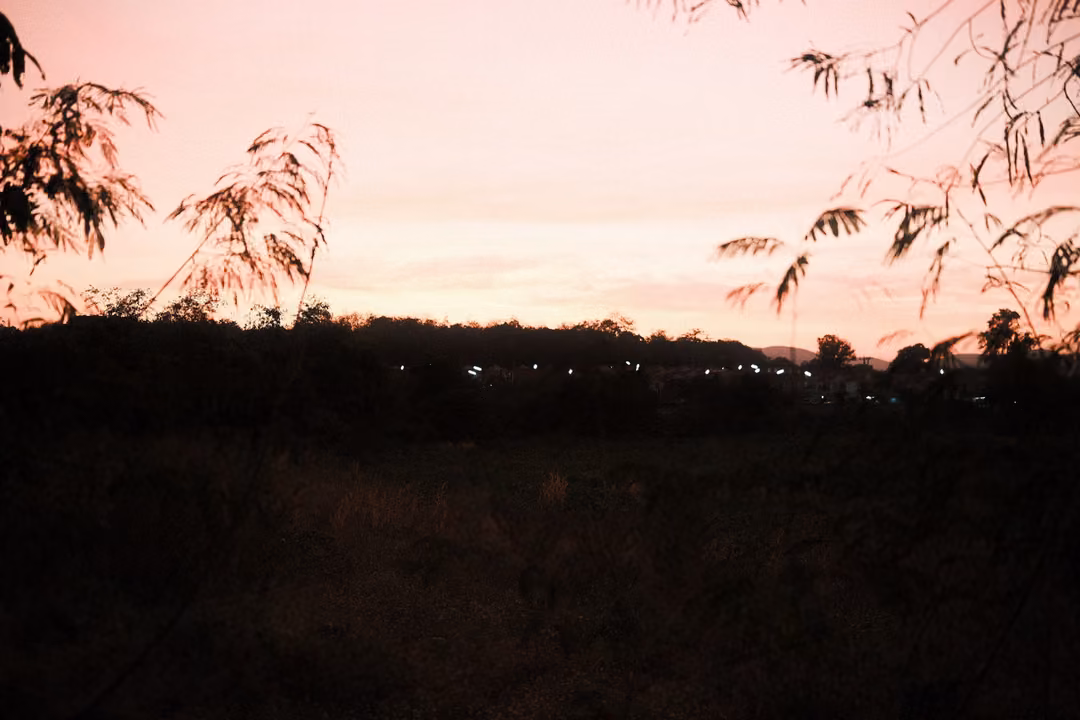 Pink dusk sky over a dark landscape, distant lights on the horizon, bamboo leaves framing the edges