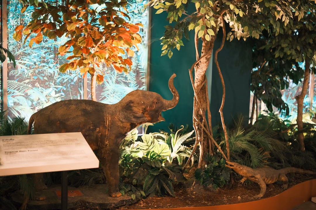 A model of a young elephant in a museum diorama with trees, leaves and a lizard model