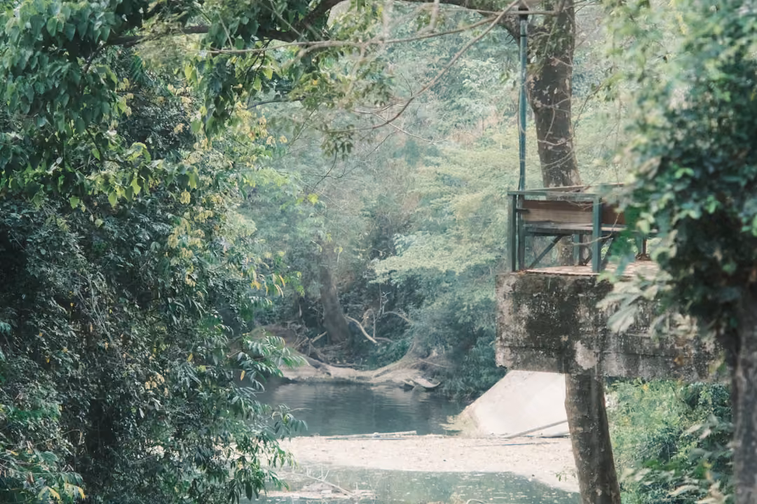 Shallow green river under trees, with a weathered concrete pillar and a rusted metal platform on the bank
