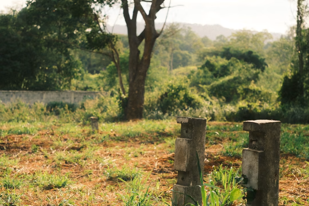 Two weathered concrete posts in a cleared field, a tall tree, a low wall and green hills in the distance.
