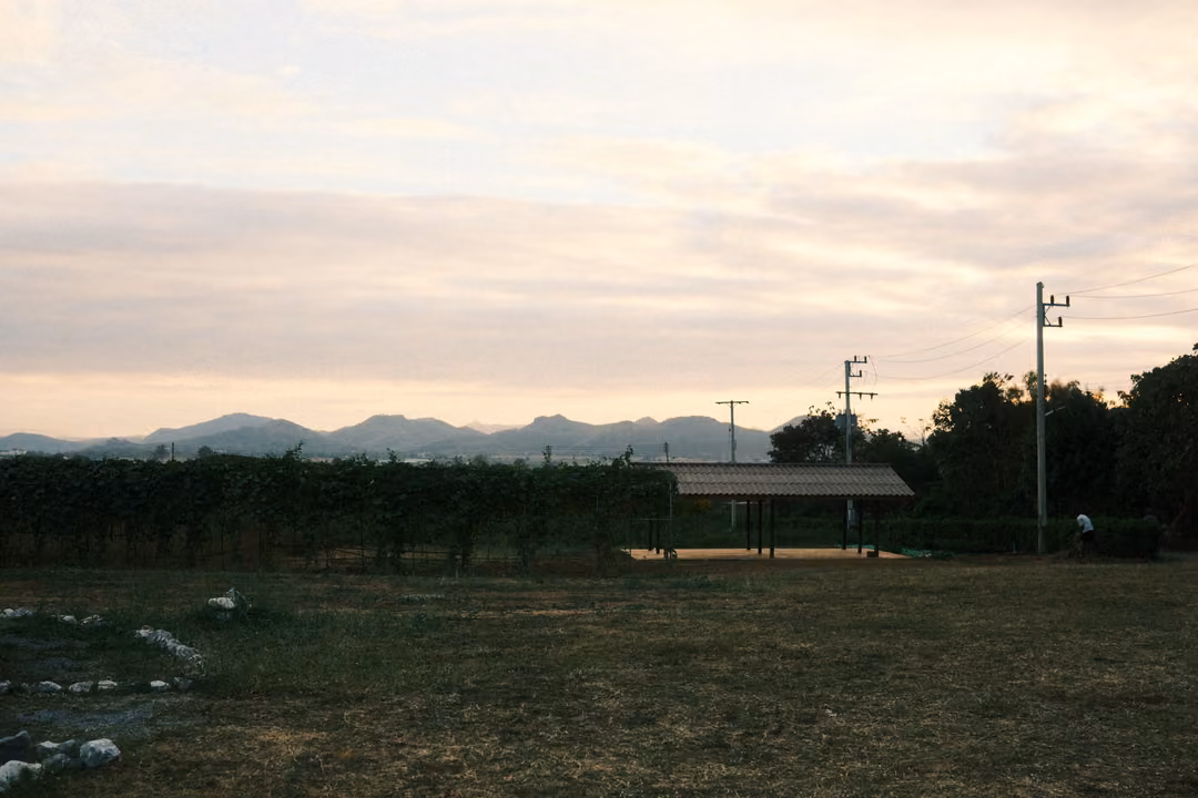 Open lawn at dusk with a long open-sided shelter, poles and mountains under a pale cloudy sky