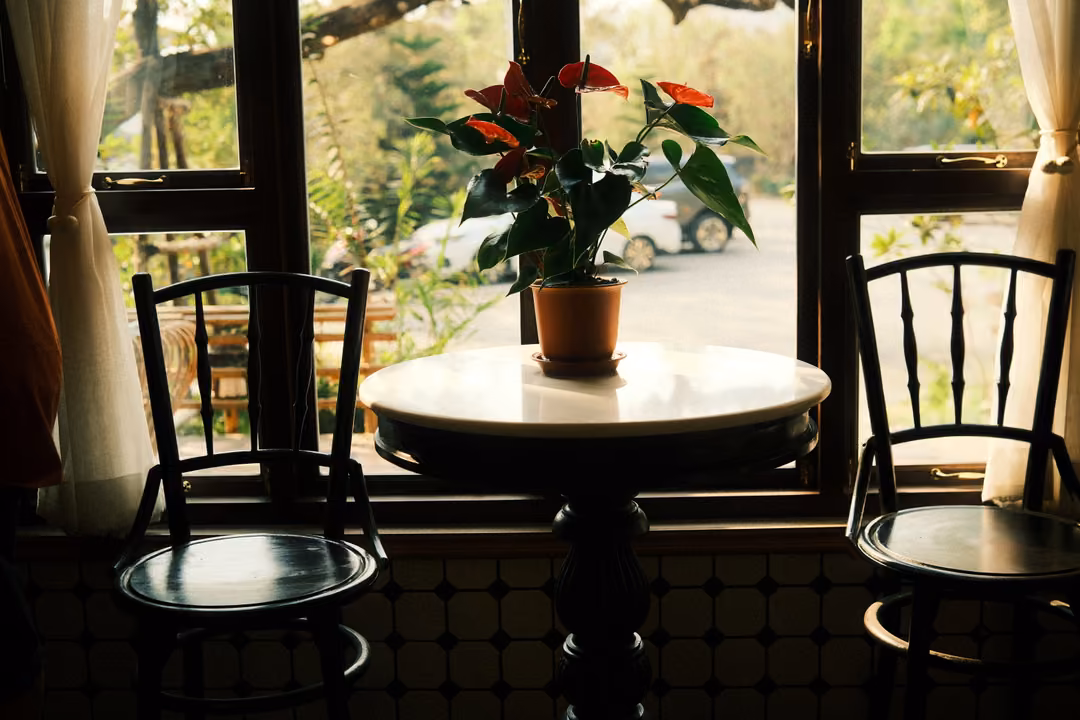 Round marble café table with a potted red anthurium and two black bentwood chairs by a large window