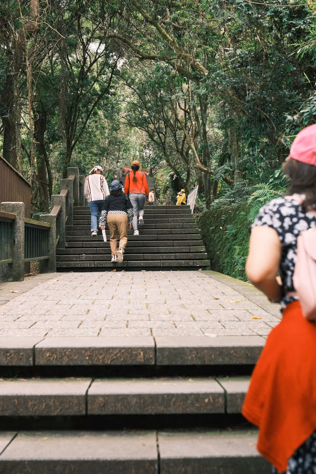 Broad stone stairs leading up through trees, several visitors climbing, a pink cap and red cardigan at right