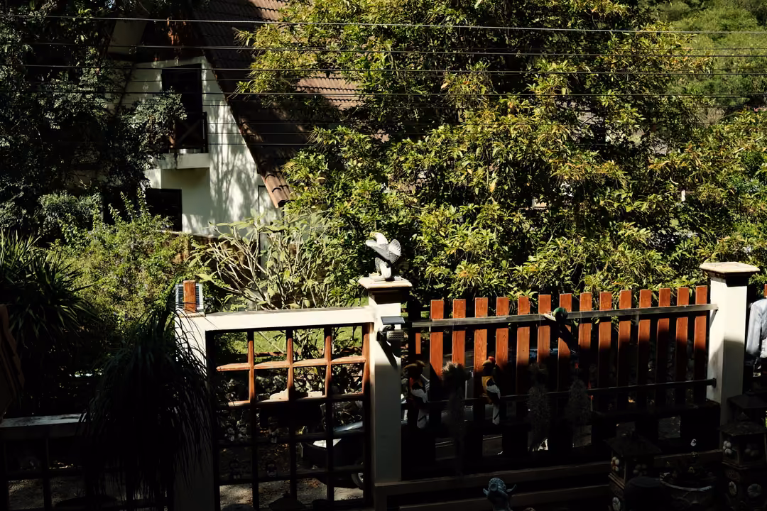 Wooden gate and red fence in deep shade, sunlit trees and a white house with a peaked roof behind