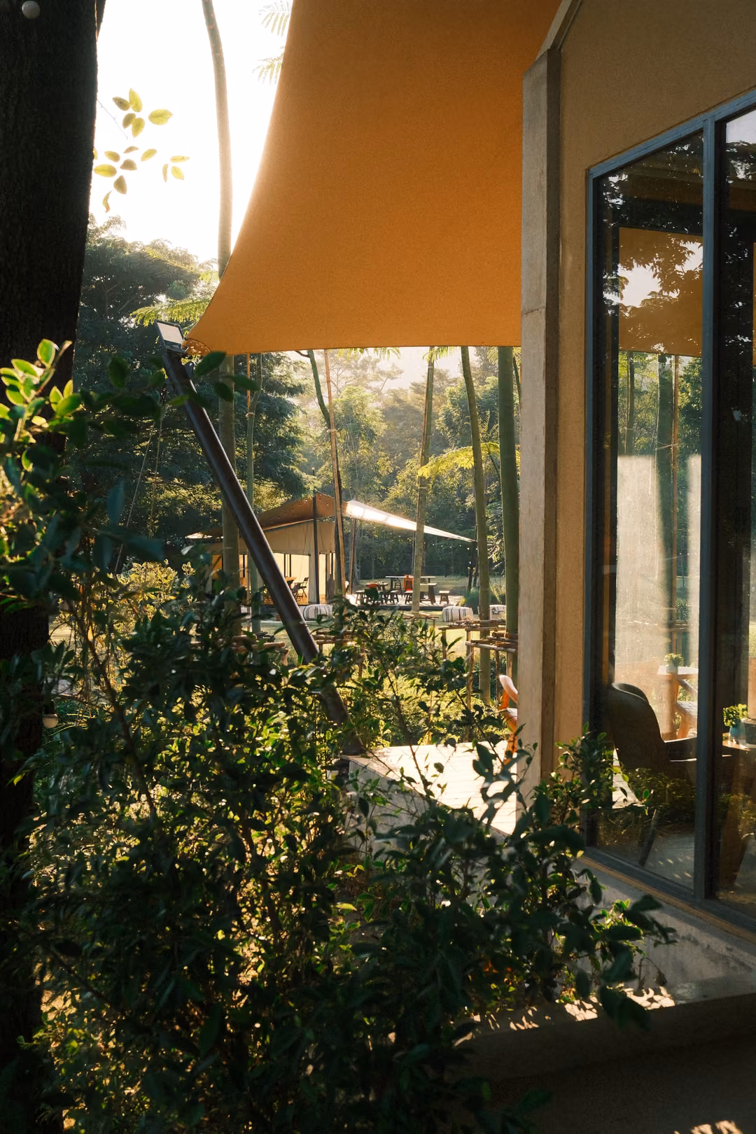 Orange canvas awning and glass wall of a building, sunlit garden and shrubs alongside