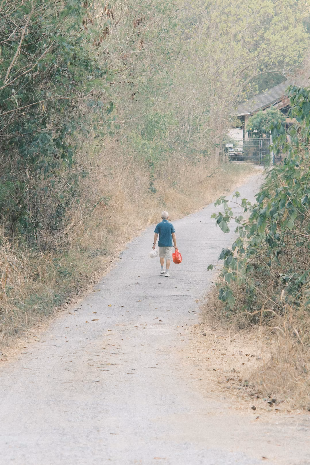 Person in a teal shirt and shorts carrying a red bag walking up a pale lane toward a house among trees