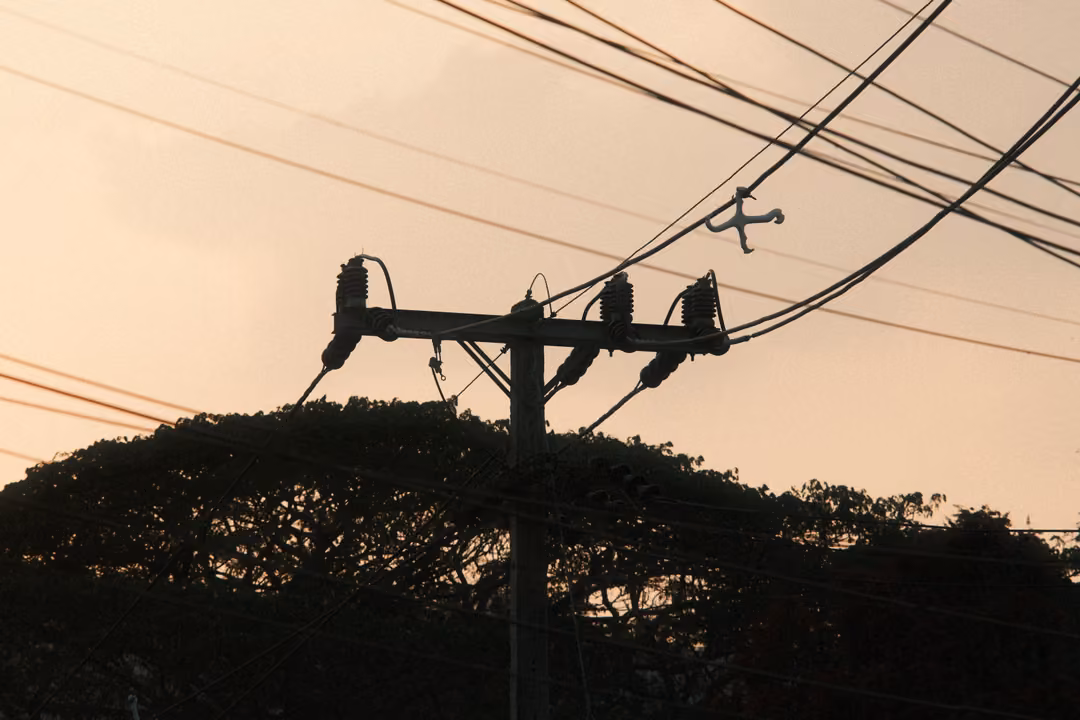 Silhouetted power pole and tangled wires against a peach evening sky above a dark tree line