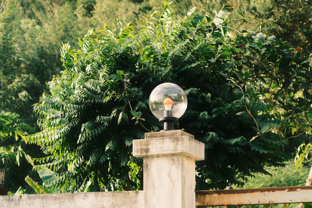 A clear glass globe lamp with an orange bulb on a concrete gatepost, in front of a dense green bush.