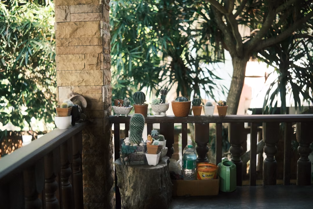 Porch railing lined with small potted cacti, a stone pillar, a tree stump and bottles in shade