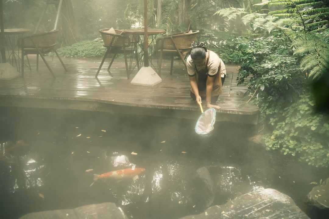 Someone crouches on a wooden deck dipping a net into a misty pond where orange koi swim.