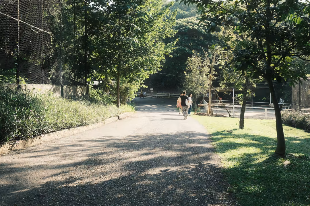 Gravel road through a sunny park with two people walking away under trees, grass and shade at right