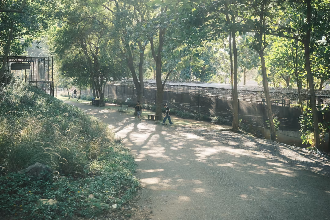 Curving path through dappled shade beside long fenced enclosures, two people walking in the distance