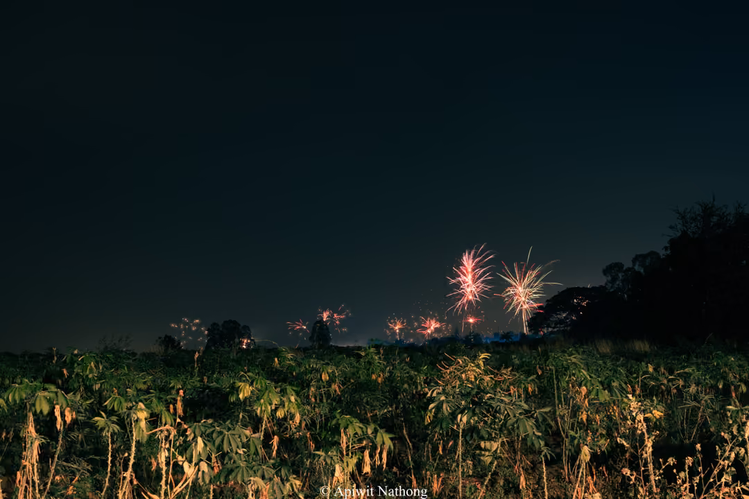 Small fireworks bursting low over the horizon above a dark field of leafy plants