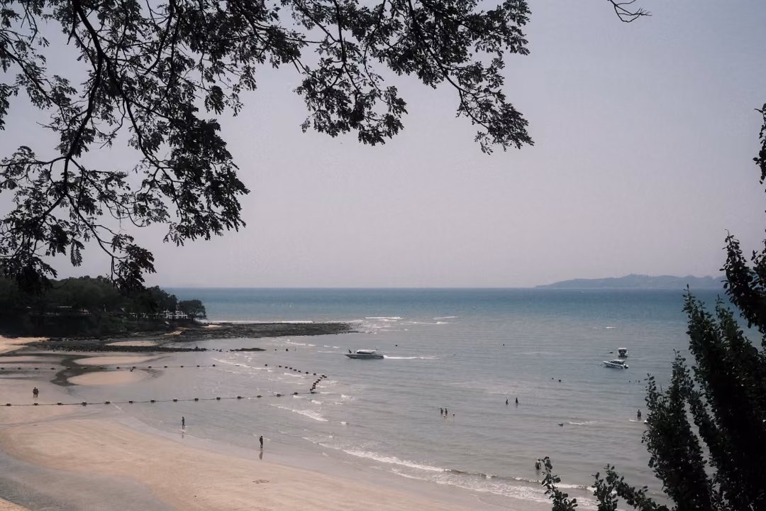 Bay with sandy shore, buoy line, boats and swimmers, framed by dark tree branches and distant hills