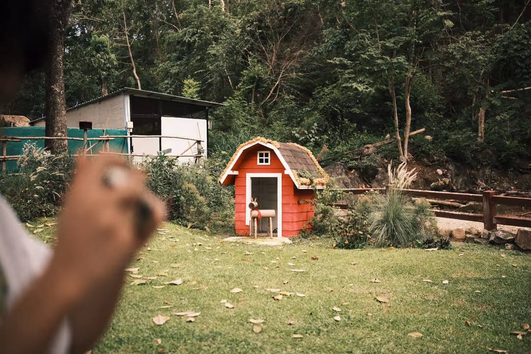 Small red barn-shaped hut on a grassy enclosure in front of forest, with a blurred hand in the foreground