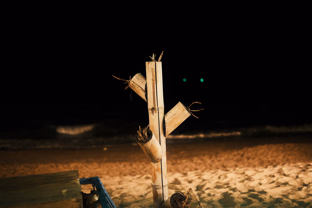 A dry bamboo sculpture with cut branches standing in lit sand at night, the dark sea behind