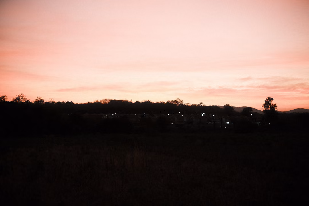 Wide pink sky fading over a dark horizon with a single tree silhouette and faint distant lights