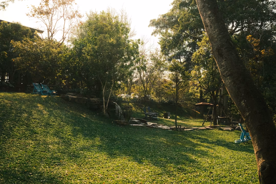 Wide sloping lawn bordered by trees, with a leaning trunk on the right and small blue chairs in the distance