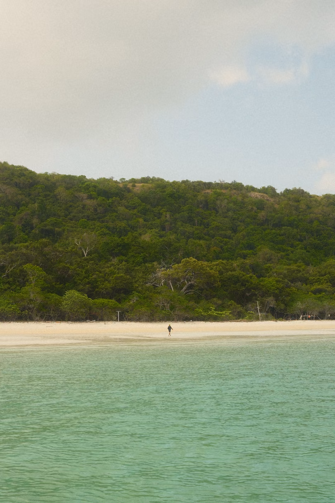 A white sand beach below a forested hill, with one tiny figure standing at the water's edge.