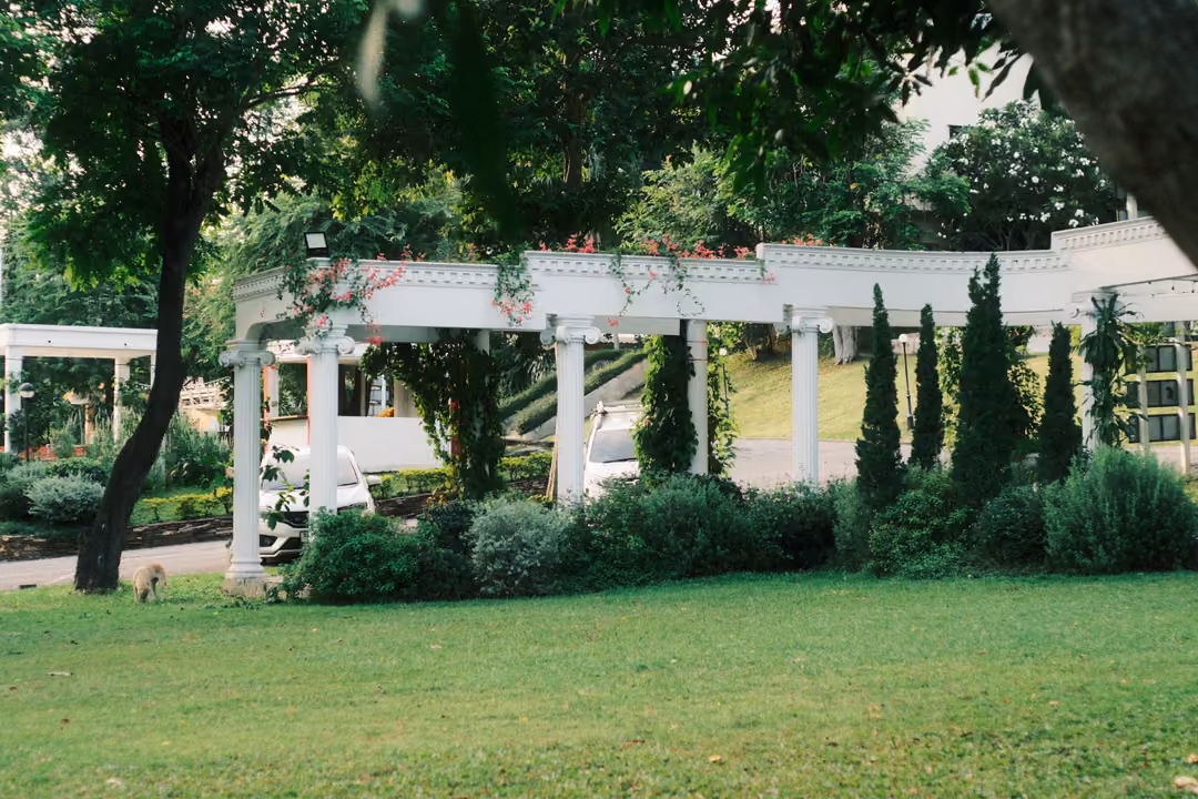 A curved white colonnade topped with flowers, cypress trees and a green lawn under spreading branches.