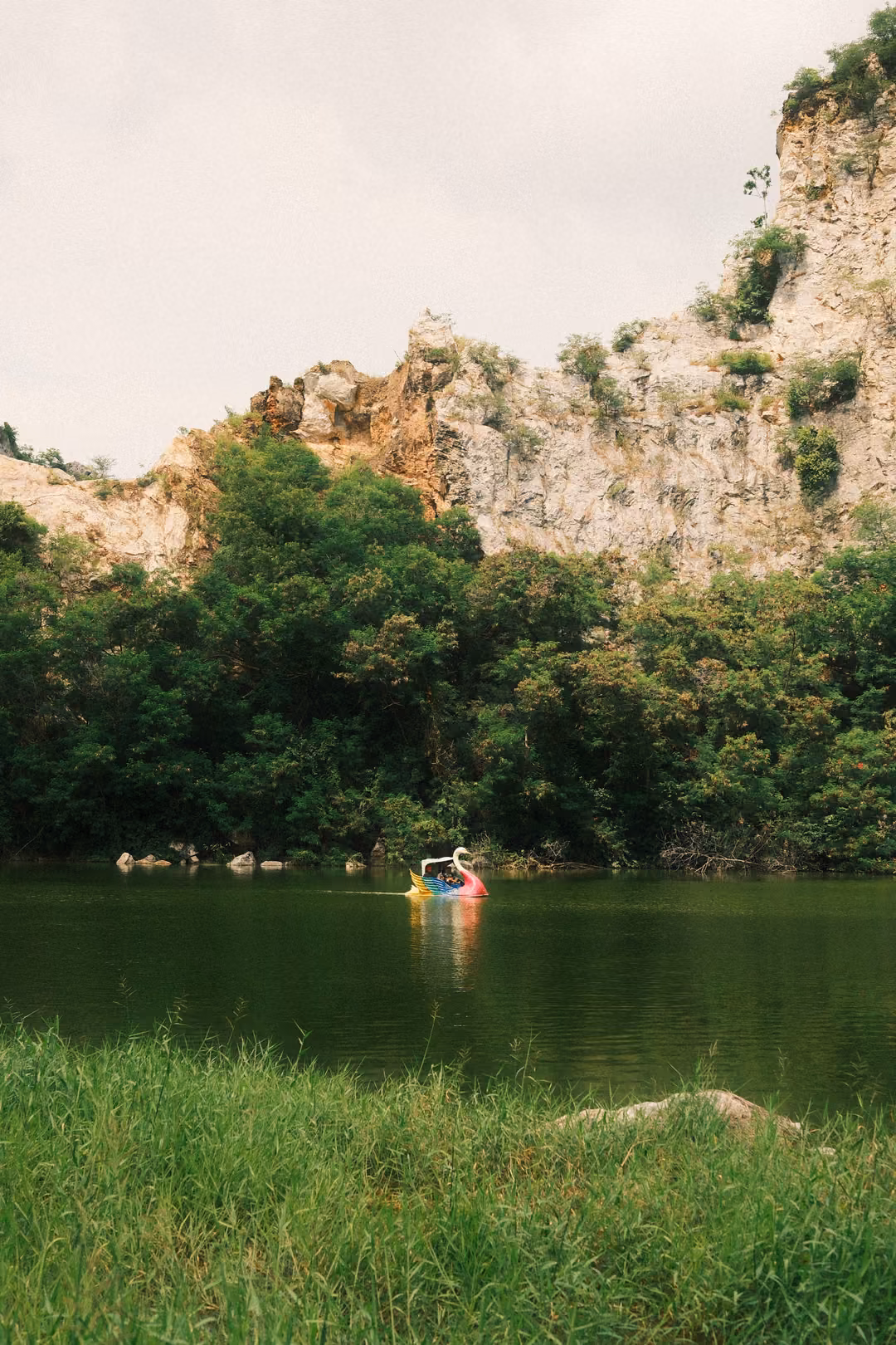 Dark green lake bordered by tall grass and trees, a swan-shaped pedal boat on the water, cliff above