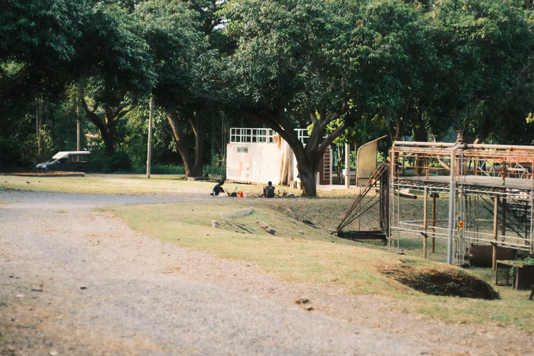 Wide, sunny lawn under large trees with a gravel road, white containers and a metal frame structure