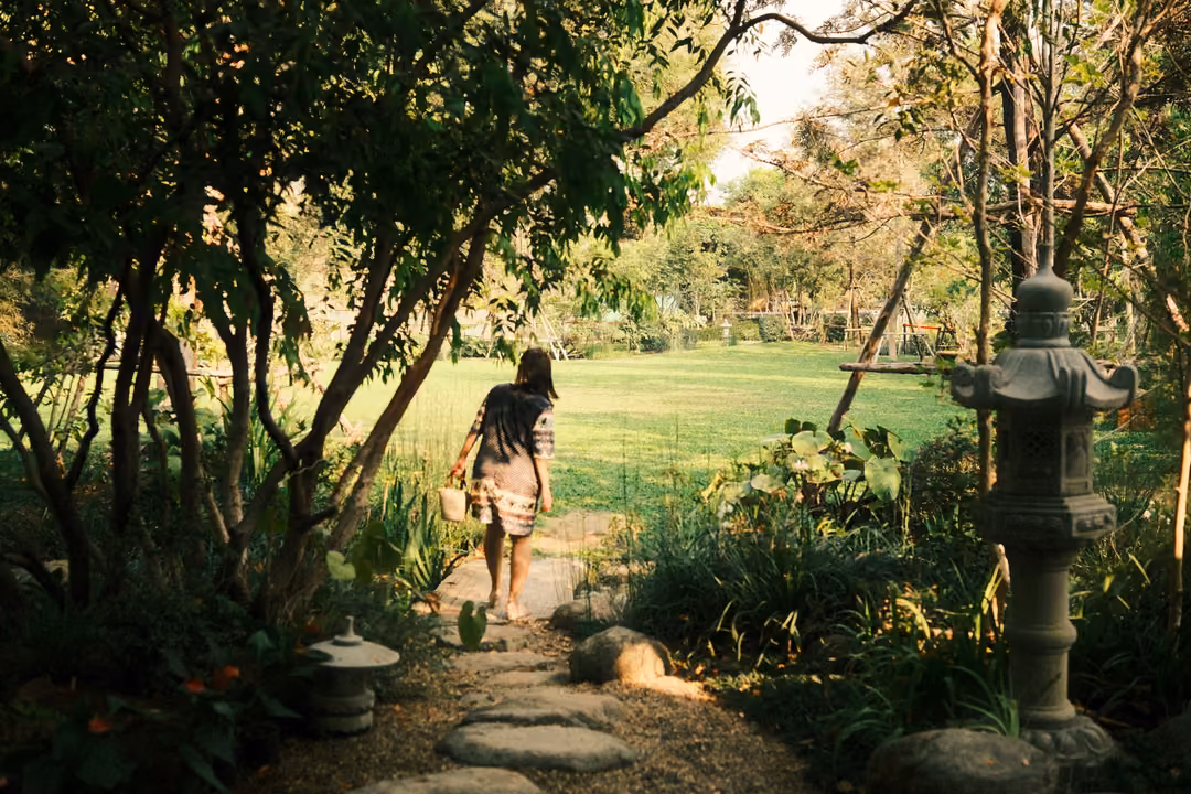 Person walking away along stepping stones through a shaded garden toward a bright lawn