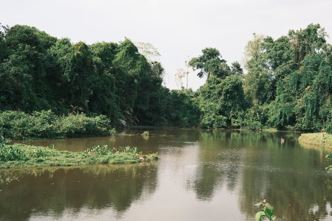 A wider view of the brown river with a small grassy island, forest on both banks under a white sky.