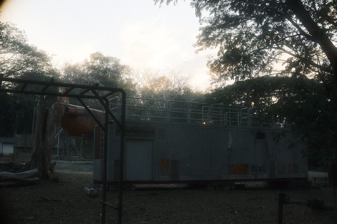 Rusted metal frame and an old trailer under dark trees in fading light, pale sky behind