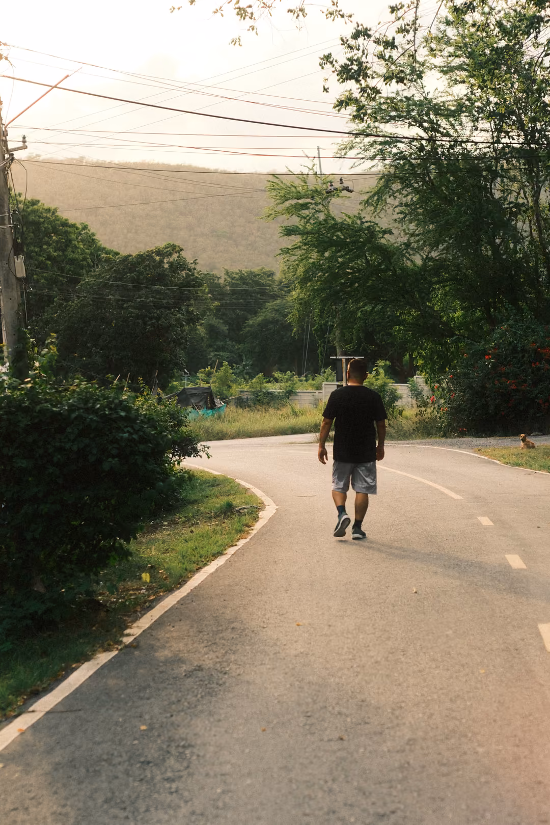 A figure in dark clothes walks away along a curving paved road lined with greenery, a hill behind.