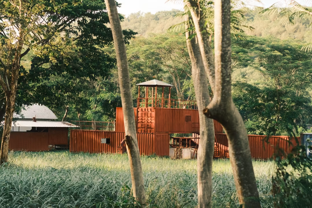 Rust-red shipping containers with a lookout tower, behind tall grass and pale tree trunks, wooded hills beyond.