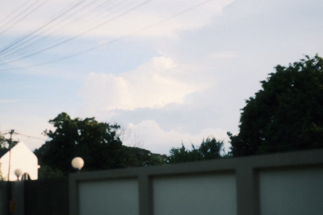 Low view of a grey wall and trees under a pale sky crossed by power lines, a white roof on the left