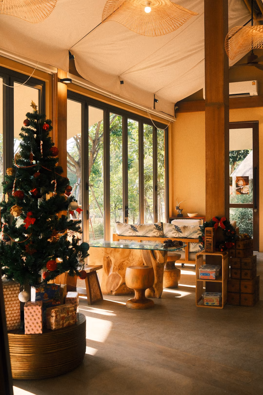 Sunlit room with a Christmas tree on a wooden plinth, glass walls, cushioned bench and wooden furniture