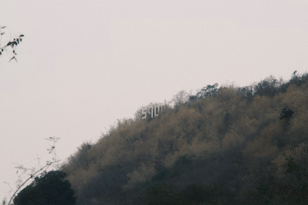 Forested hillside under a pale hazy sky with white letters on the slope, a tree silhouette at left