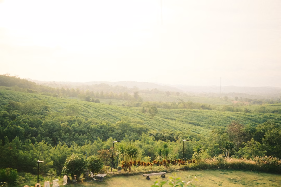 A hazy panorama of green fields and forest under a white sky, with a curved lawn and benches below.