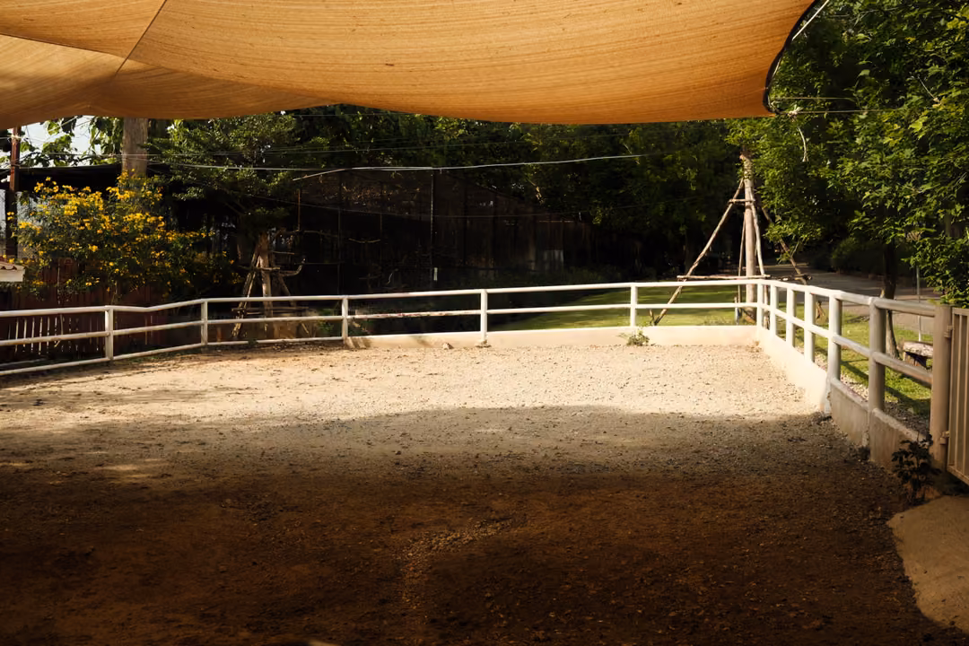 Empty sandy arena beneath a tan shade sail, enclosed by a white fence with trees and flowers beyond