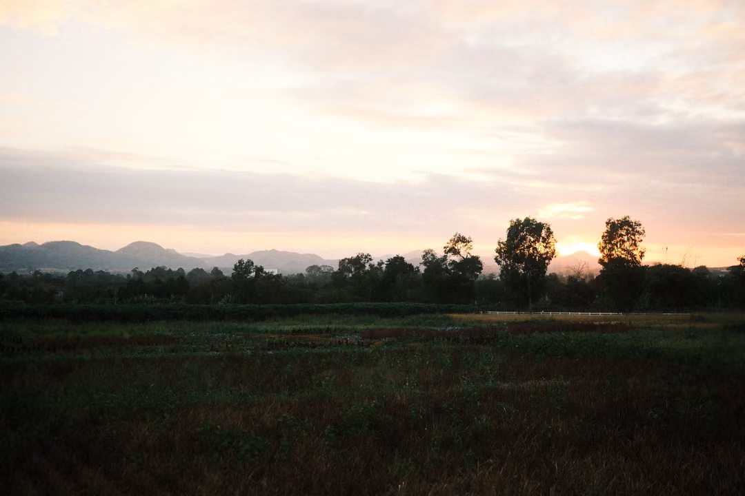 Mountains and silhouetted trees on the horizon after sunset, a wide sky of cream and grey clouds, dark field