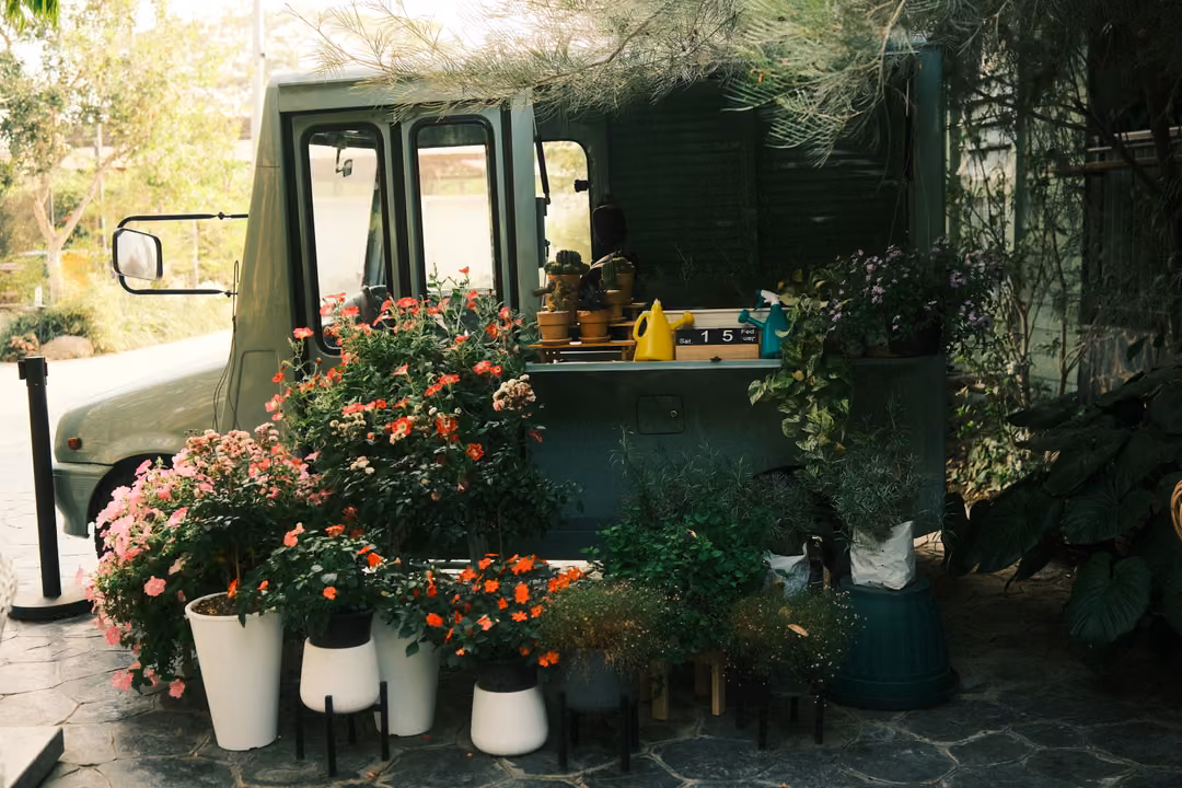 Vintage green van converted into a flower stall, surrounded by potted pink and red flowers in white pots
