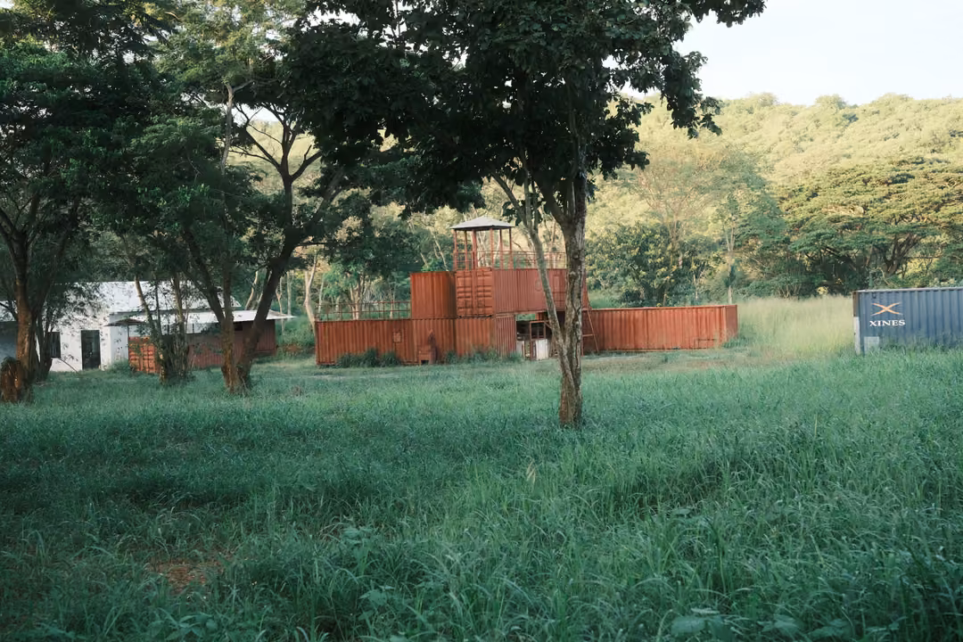 Rusty container structures and a small tower behind a green field and a large leafy tree