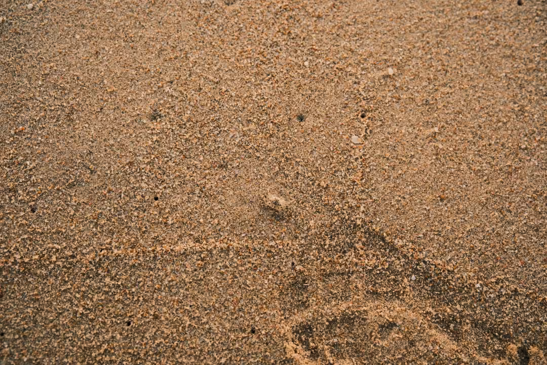 Close-up of beach sand with the faint impression of a footprint