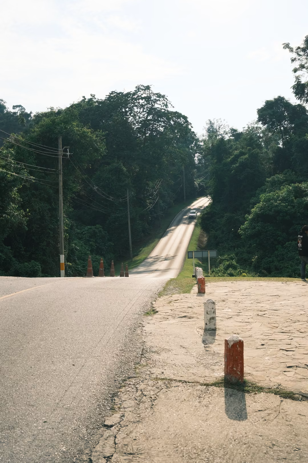 A road climbs steeply into forest, with red and white posts along a cracked verge and power poles.