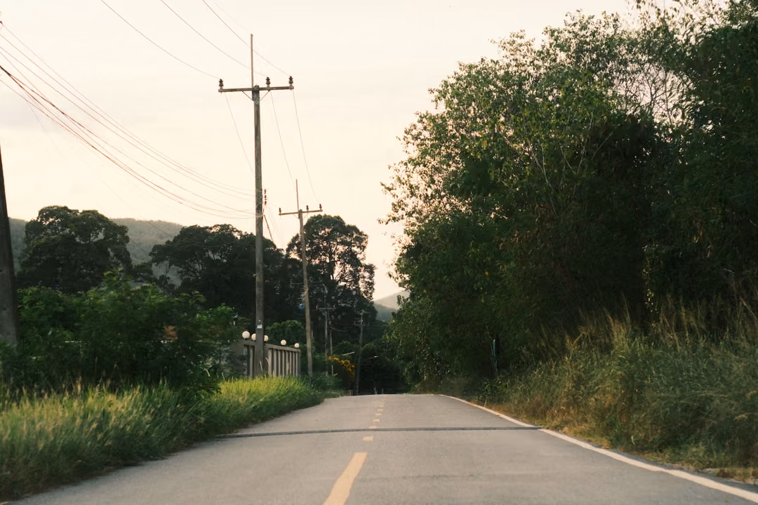 A paved road with a yellow centre line between tall grass and trees, power poles leaning on the left.