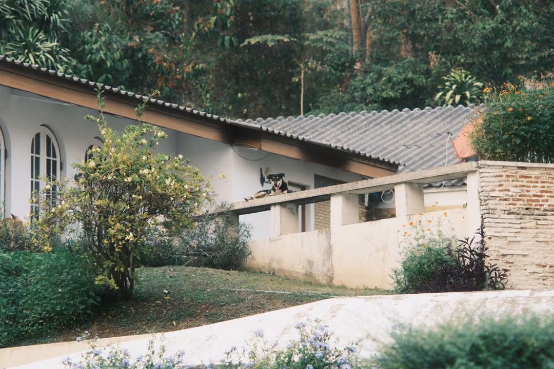 White building with arched windows behind a low wall where a small dark animal sits, green slope in front
