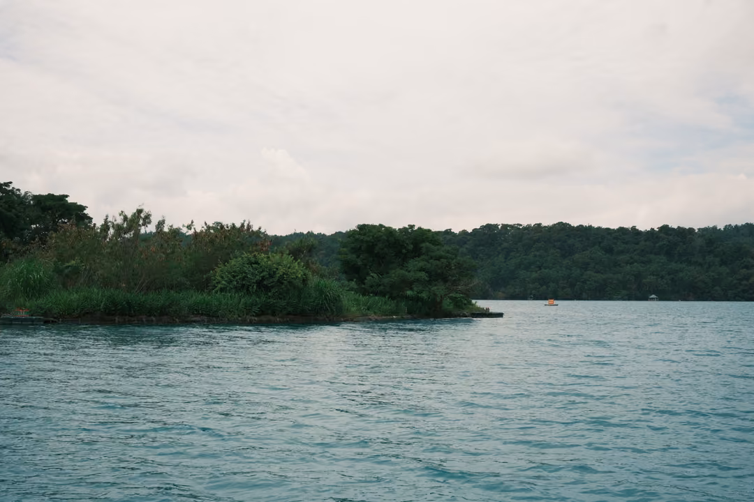 Low grassy islet with shrubs on a lake, forested shoreline behind under a cloudy white sky