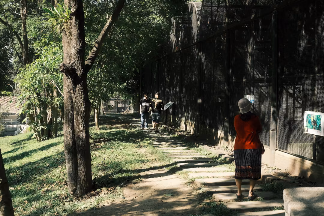 Visitor in red with a white hat facing a dark mesh enclosure along a shaded path, others walking behind